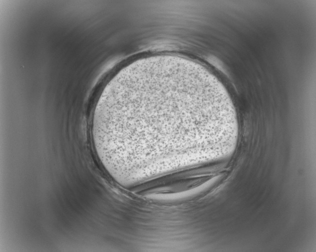 X0000063501067200602101853