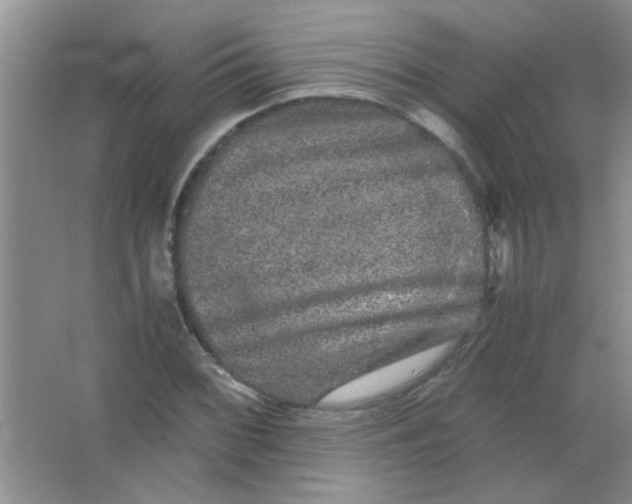 X0000063501068200602101853