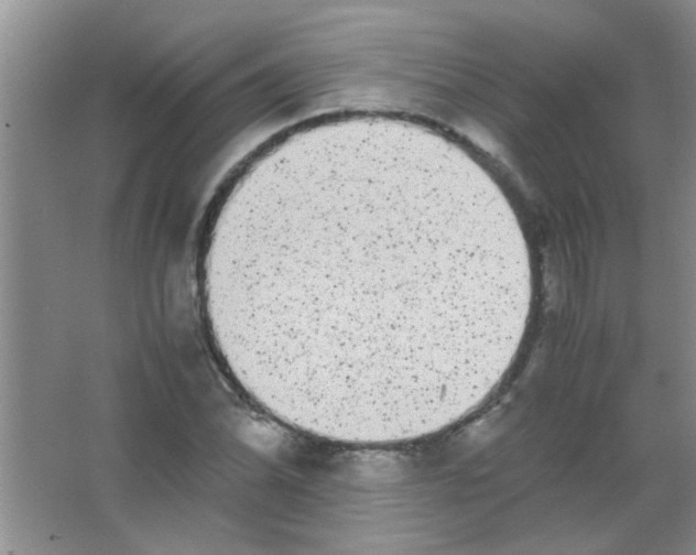 X0000063501070200602101853