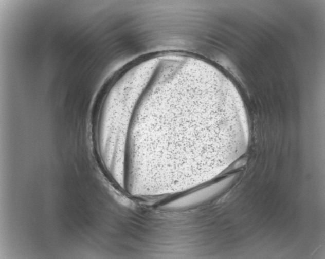 X0000063501072200602101853