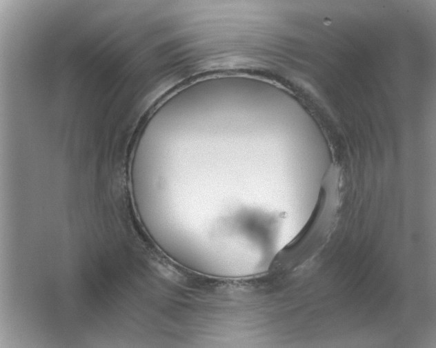 X0000063501073200602101853