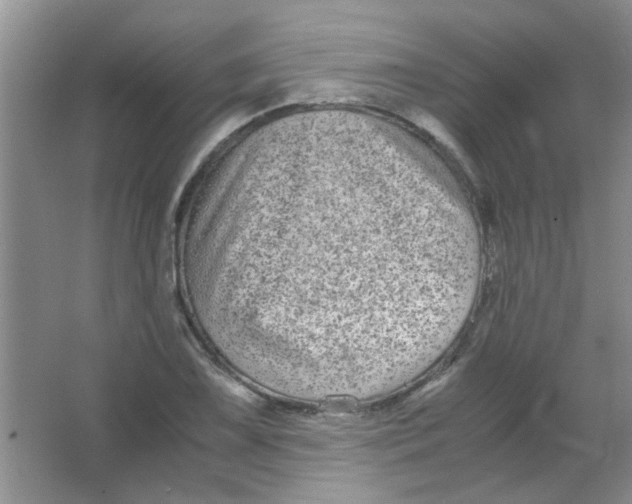 X0000063501075200602101853