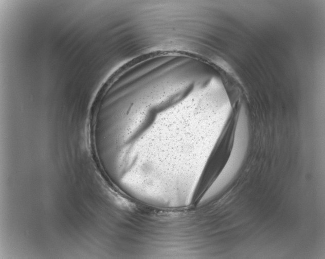 X0000063501076200602101853