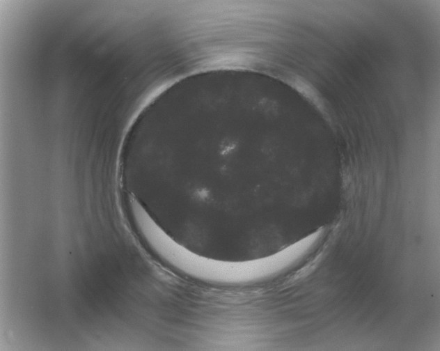 X0000063501077200602101853