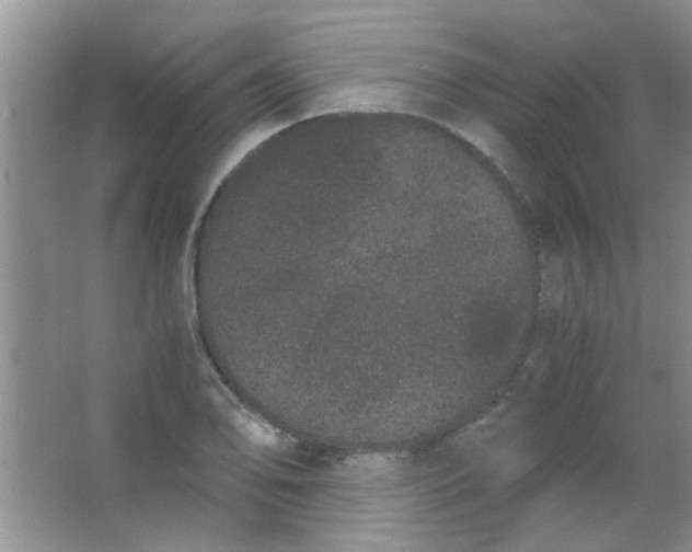 X0000063501078200602101853