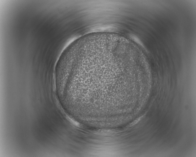 X0000063501079200602101853