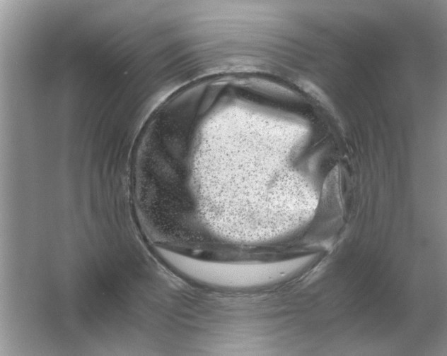 X0000063501081200602101853