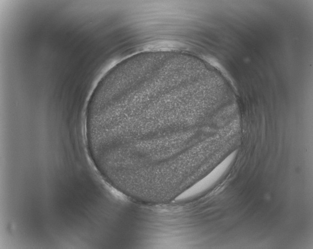 X0000063501083200602101853