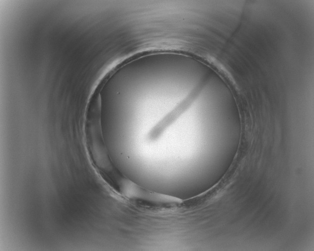 X0000063501085200602101853