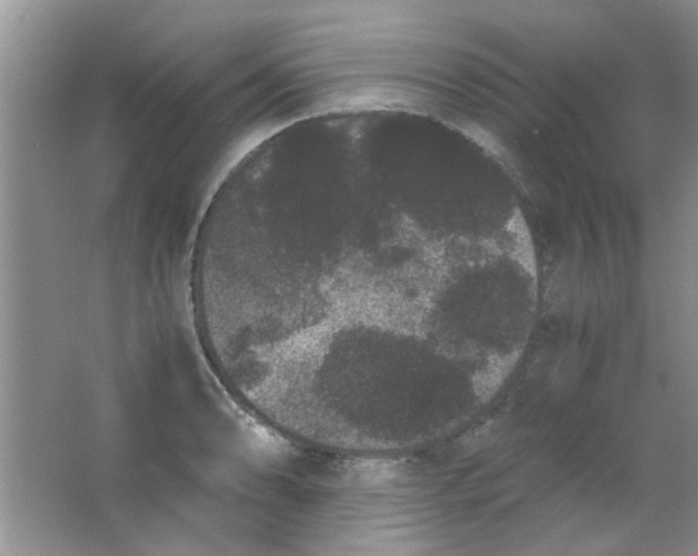 X0000063501086200602101853