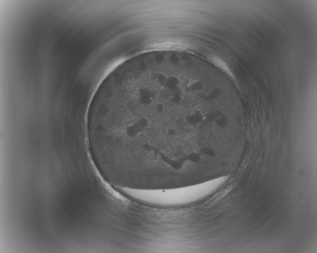 X0000063501087200602101853