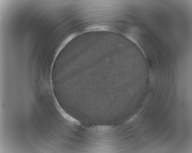 X0000063501090200602101853