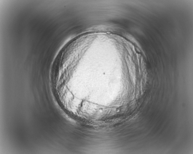 X0000063501091200602101853