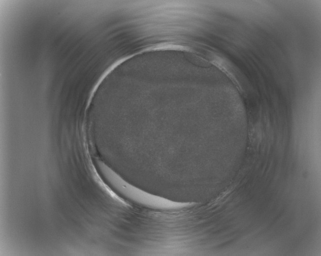 X0000063501092200602101853