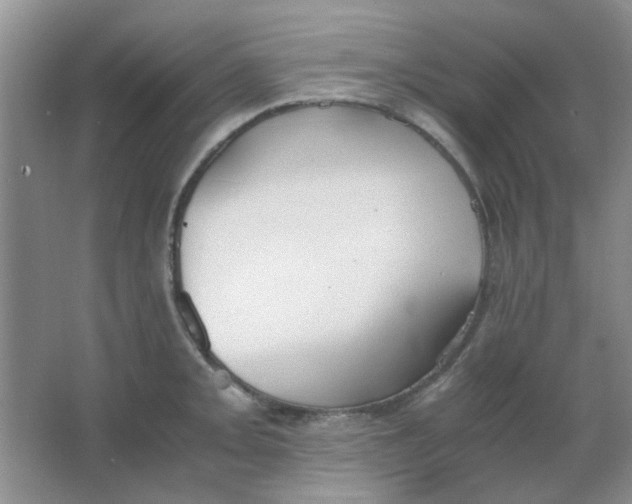 X0000063501093200602101853