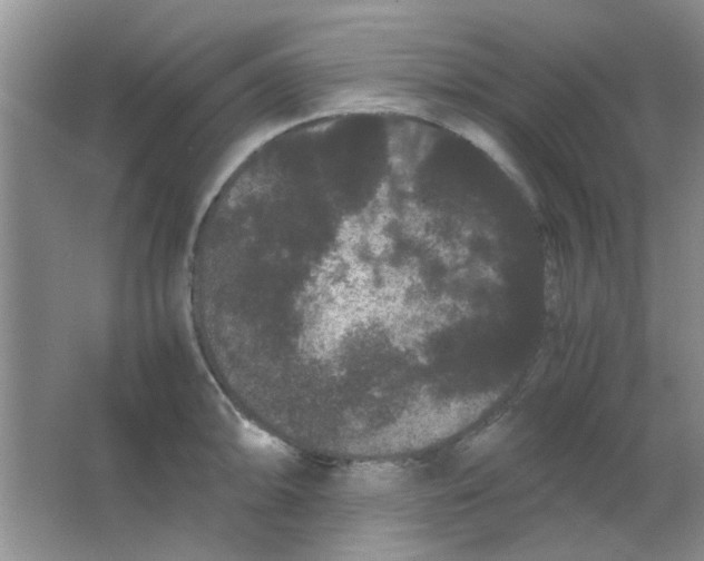 X0000063501094200602101853