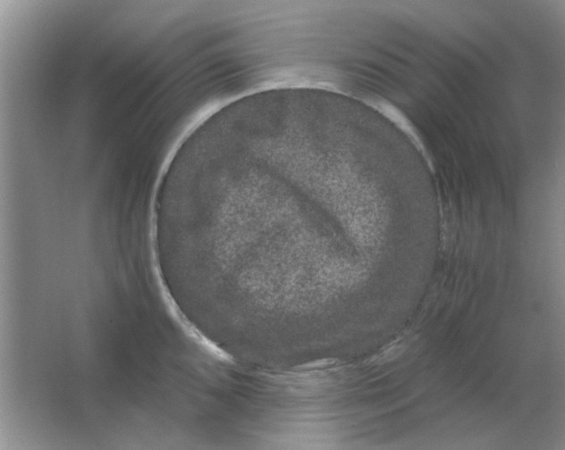 X0000063501096200602101853