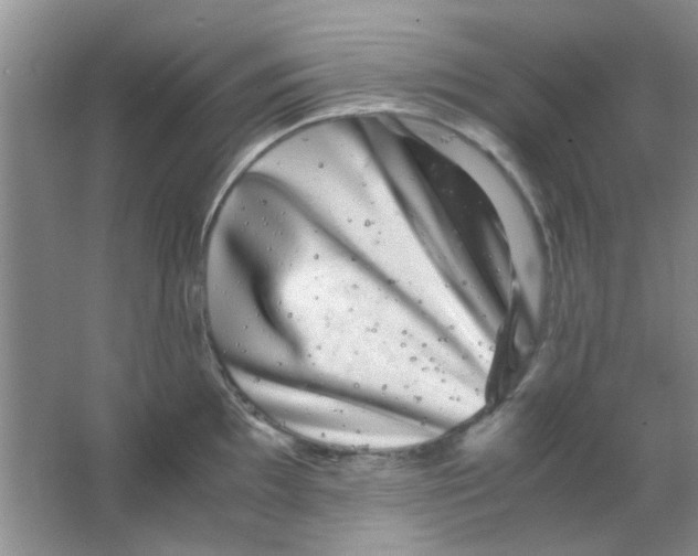 X0000063501097200602101853