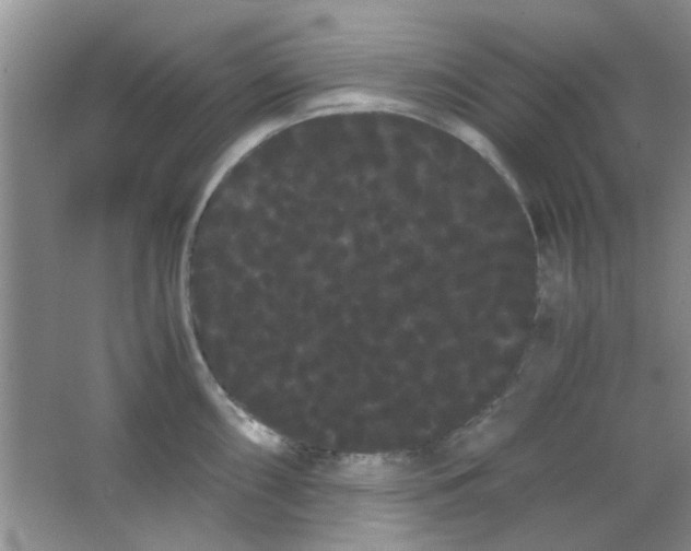 X0000063501098200602101853