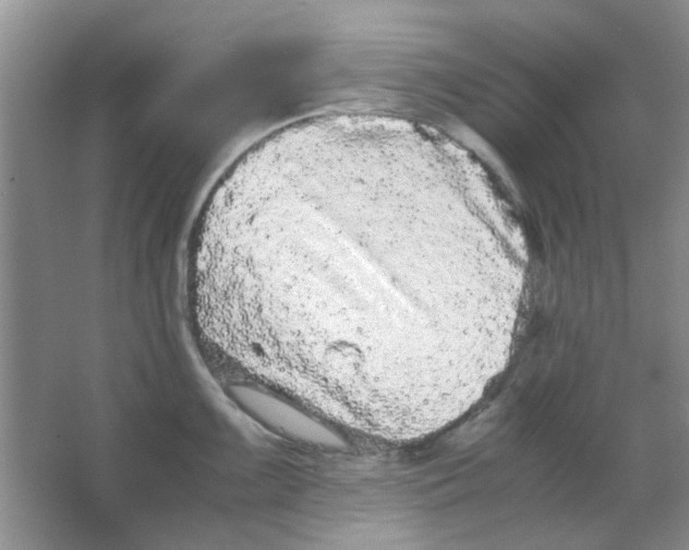 X0000063501099200602101853