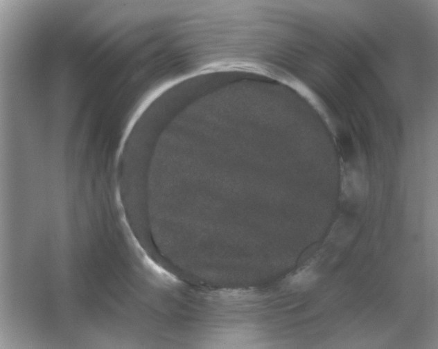 X0000063501102200602101853