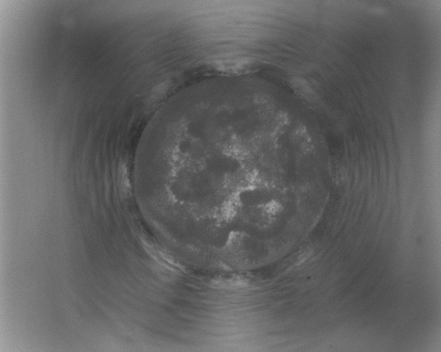 X0000063501106200602101852