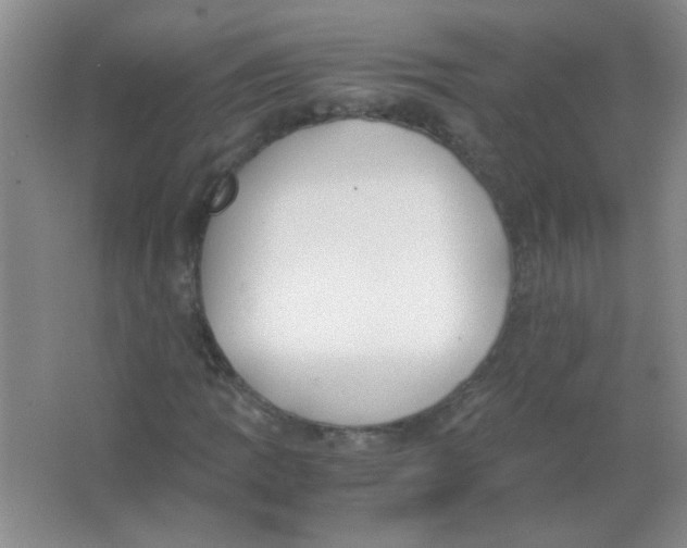 X0000063501109200602101852