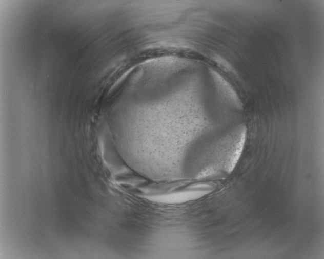 X0000063501110200602101852