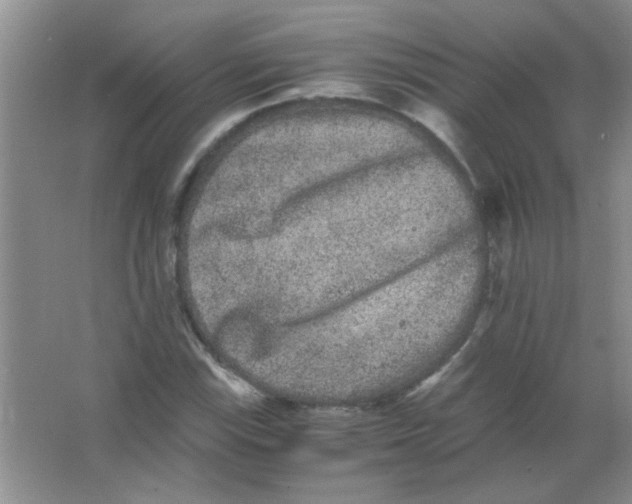 X0000063501115200602101852