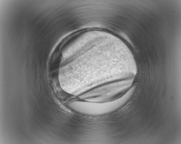 X0000063501116200602101852