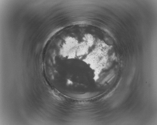 X0000063501117200602101852