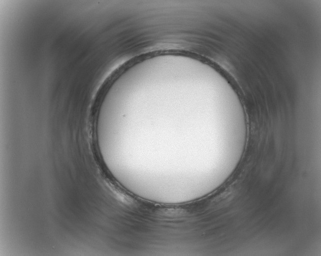 X0000063501119200602101852