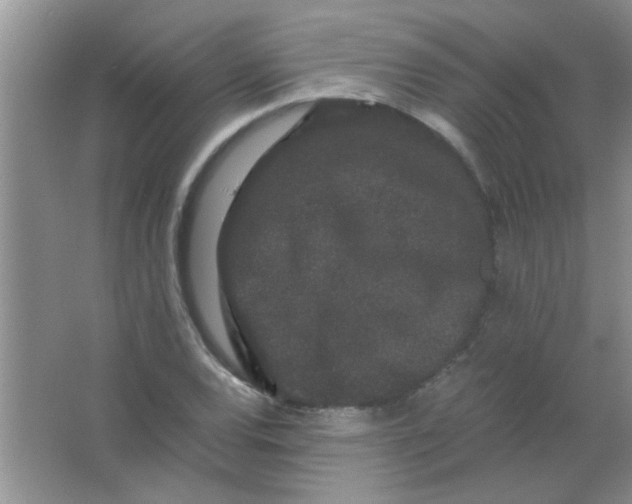 X0000063501120200602101852