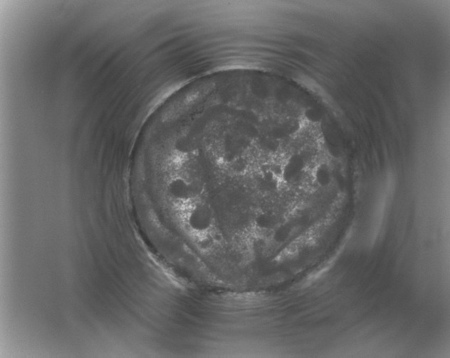 X0000063501121200602101852