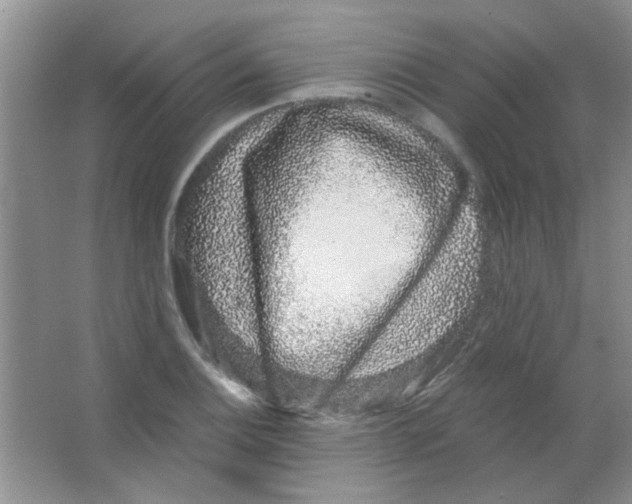 X0000063501124200602101852