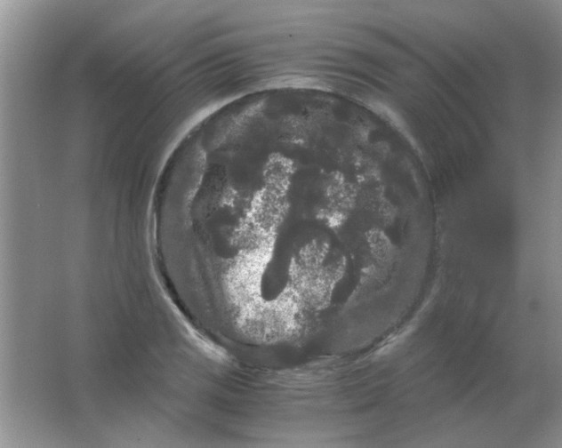 X0000063501125200602101852