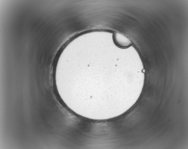 X0000063501126200602101852