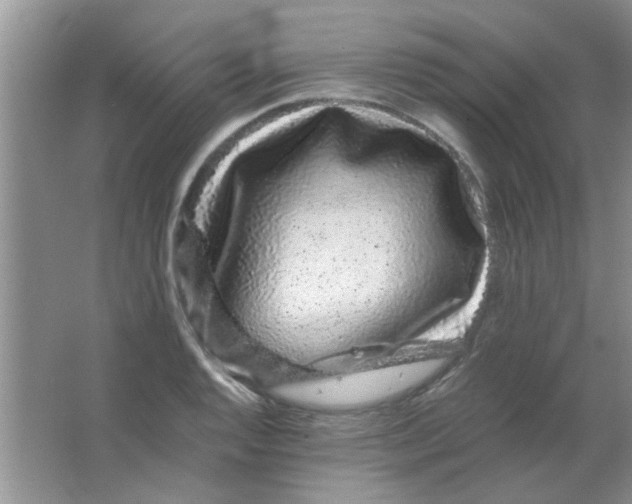 X0000063501128200602101852