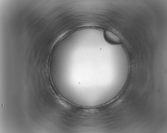 X0000063501129200602101852