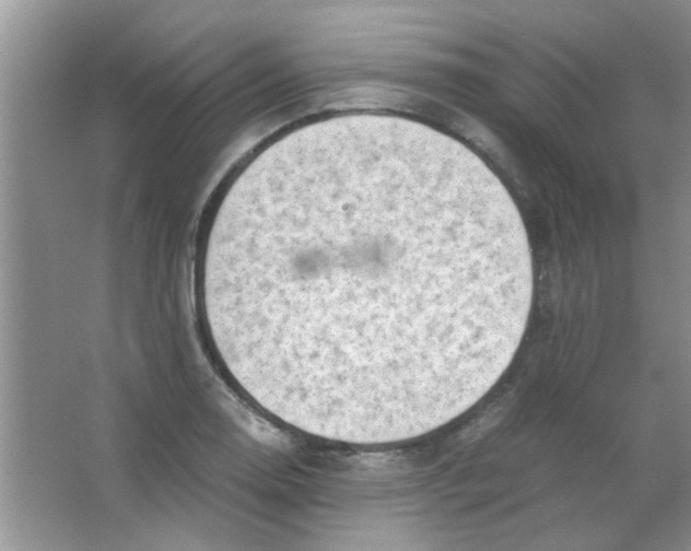 X0000063501130200602101852