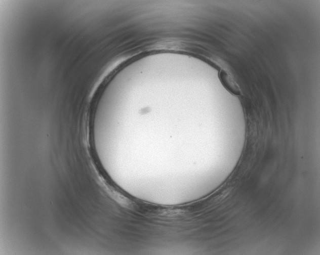 X0000063501131200602101852