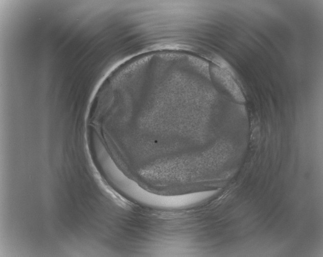 X0000063501132200602101852