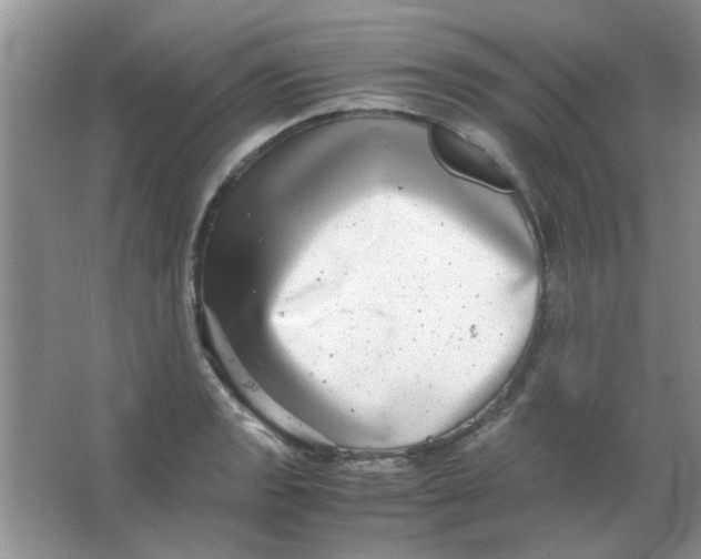 X0000063501133200602101852