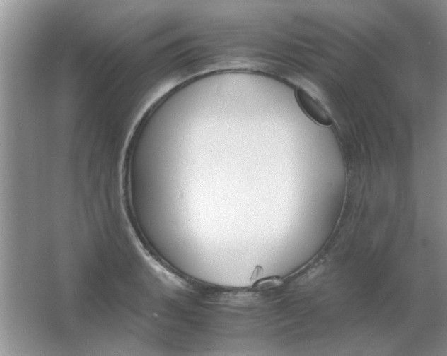 X0000063501135200602101852