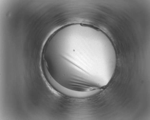 X0000063501136200602101852