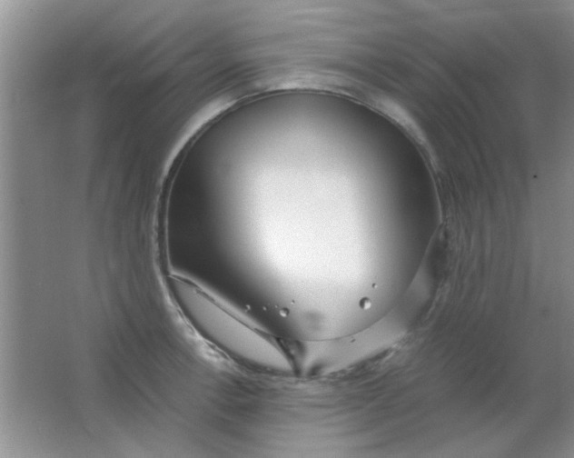 X0000063501138200602101852