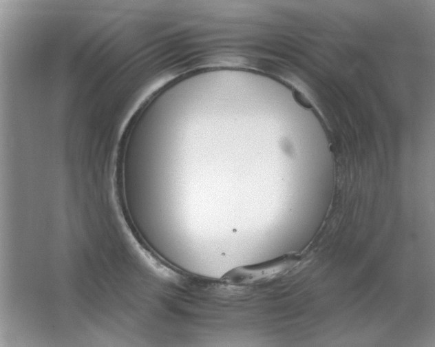 X0000063501139200602101852