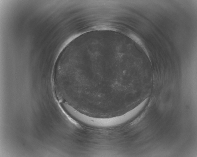 X0000063501141200602101852