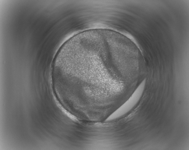 X0000063501142200602101852