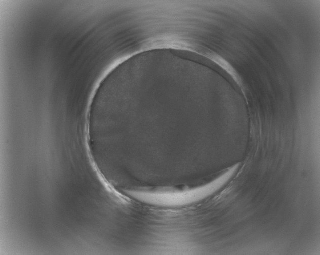 X0000063501144200602101852